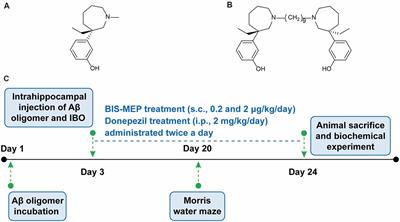 Effects of BIS-MEP on Reversing Amyloid Plaque Deposition and Spatial Learning and Memory Impairments in a Mouse Model of β-Amyloid Peptide- and Ibotenic Acid-Induced Alzheimer’s Disease